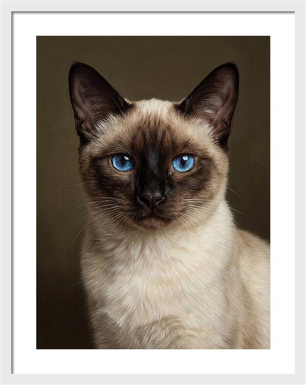 Siamese Cat Portrait