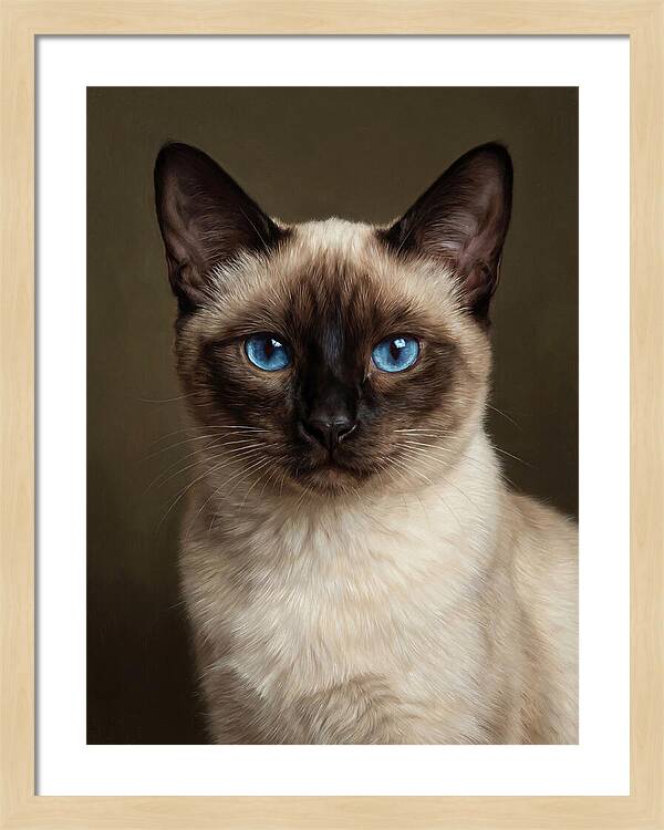 Siamese Cat Portrait
