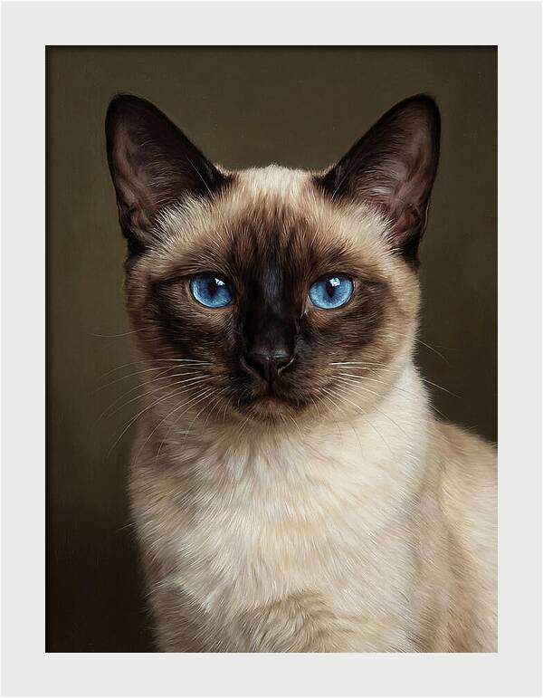 Siamese Cat Portrait