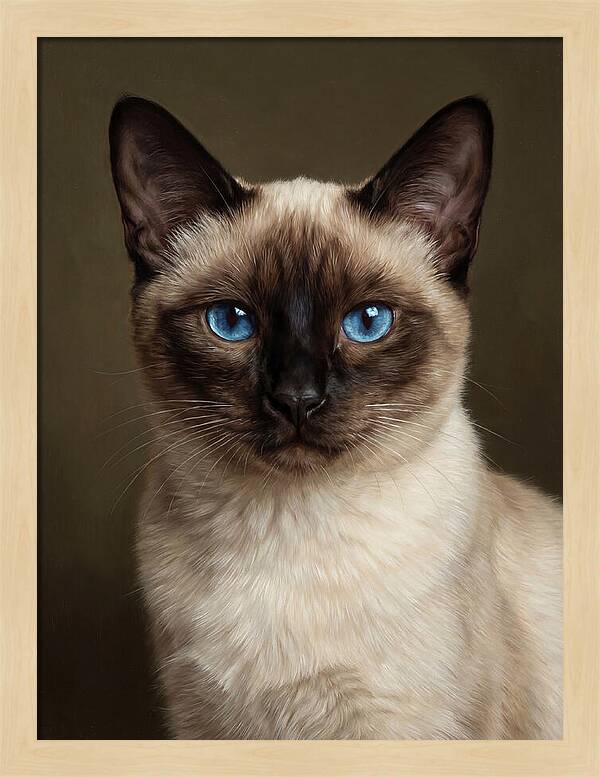 Siamese Cat Portrait