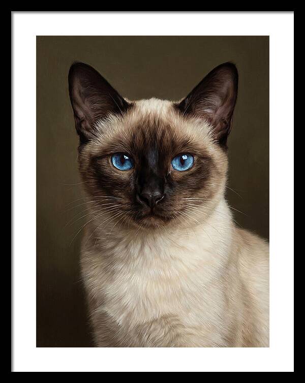 Siamese Cat Portrait
