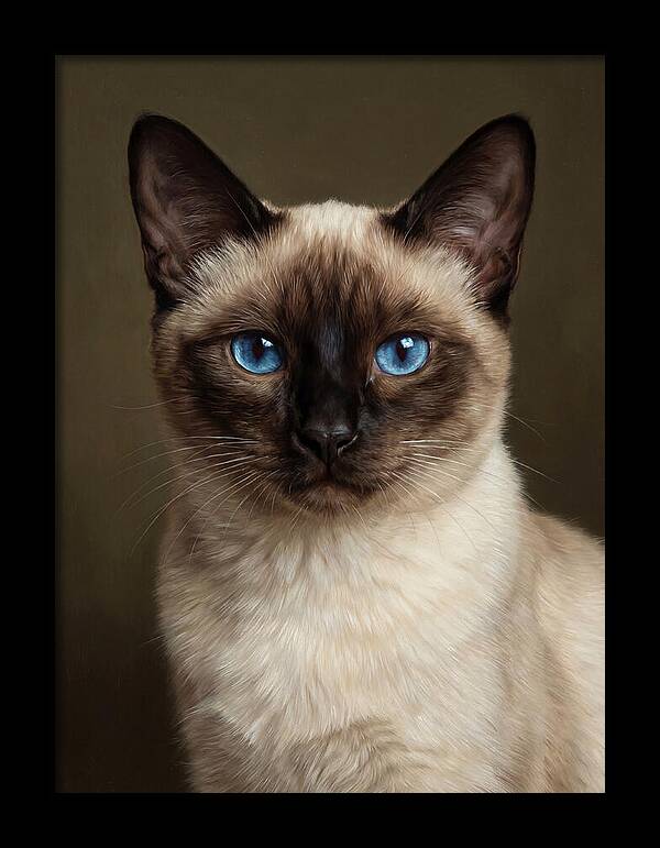 Siamese Cat Portrait