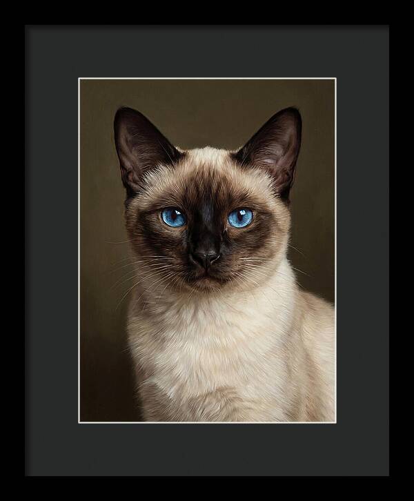 Siamese Cat Portrait