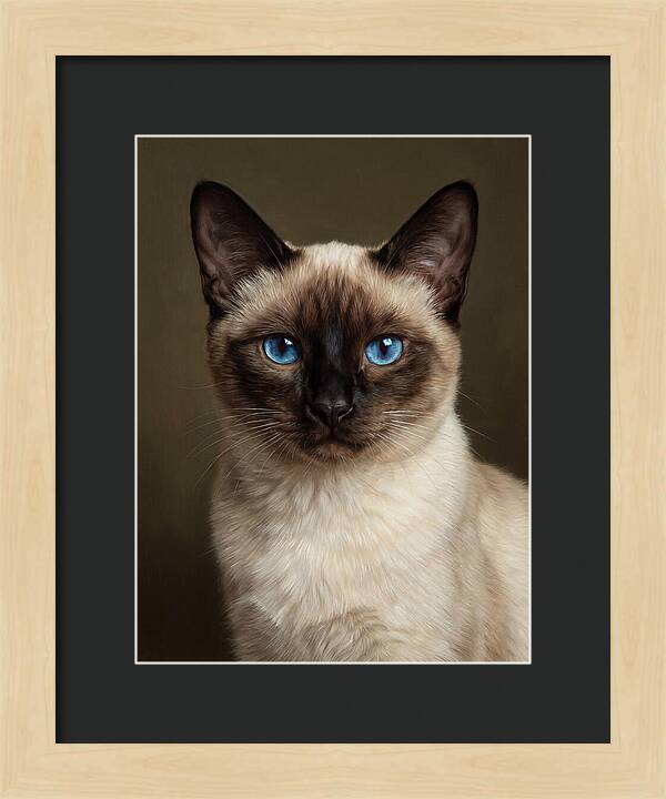 Siamese Cat Portrait