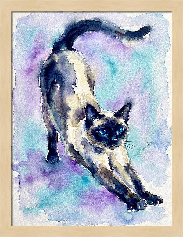 Siamese Cat Stretching Watercolor