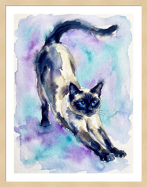 Siamese Cat Stretching Watercolor