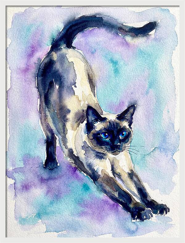 Siamese Cat Stretching Watercolor