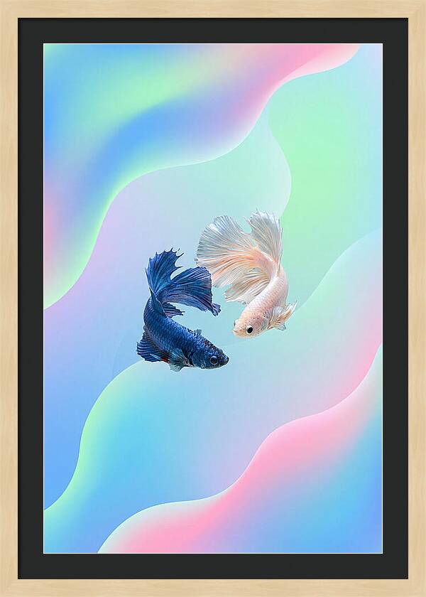 Siamese Fighting Fish Dance