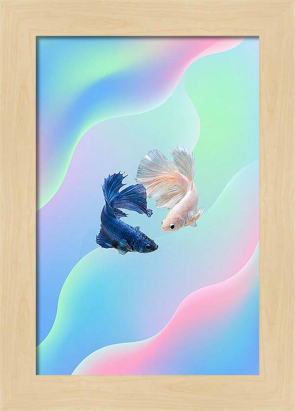 Siamese Fighting Fish Dance