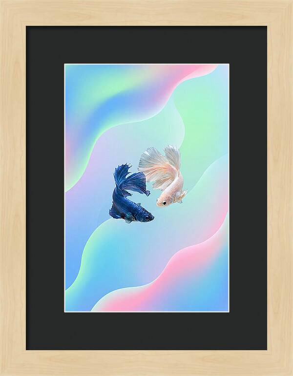 Siamese Fighting Fish Dance