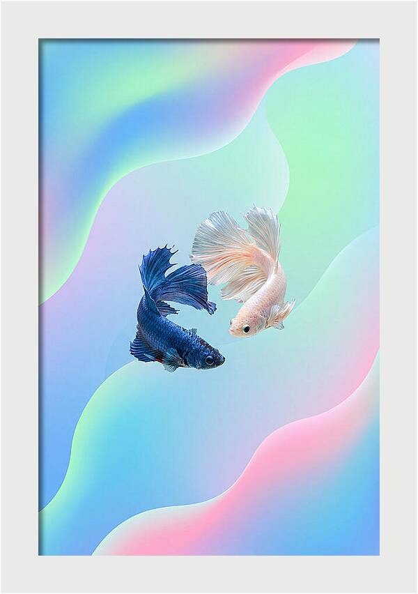 Siamese Fighting Fish Dance