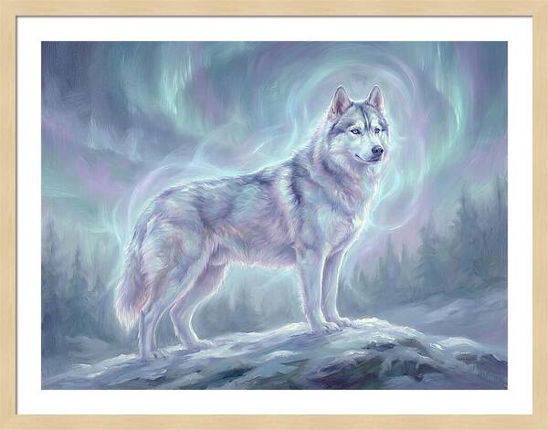 Siberian Husky