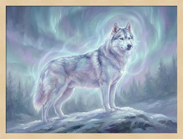 Siberian Husky