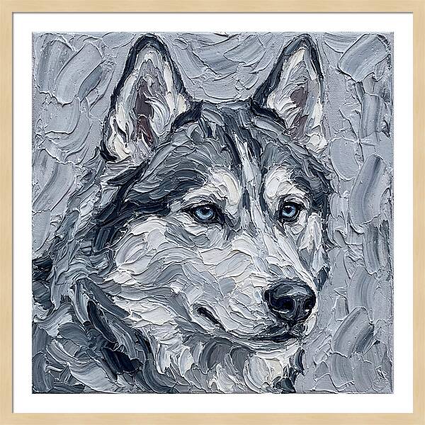 Siberian Husky Portrait