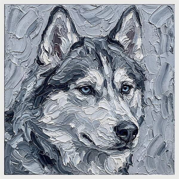 Siberian Husky Portrait
