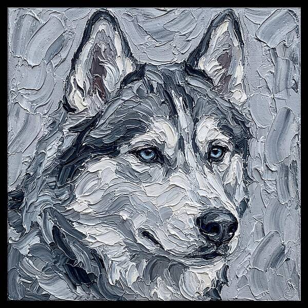 Siberian Husky Portrait