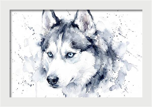 Siberian Husky Watercolor Portrait
