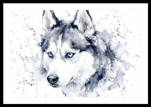 Siberian Husky Watercolor Portrait