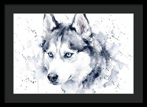 Siberian Husky Watercolor Portrait