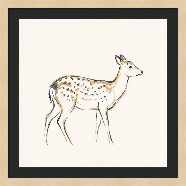 Sika Deer Elegance