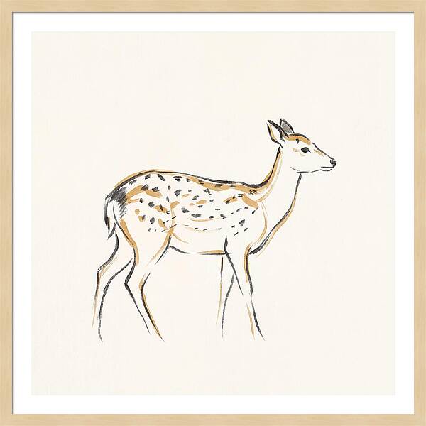 Sika Deer Elegance