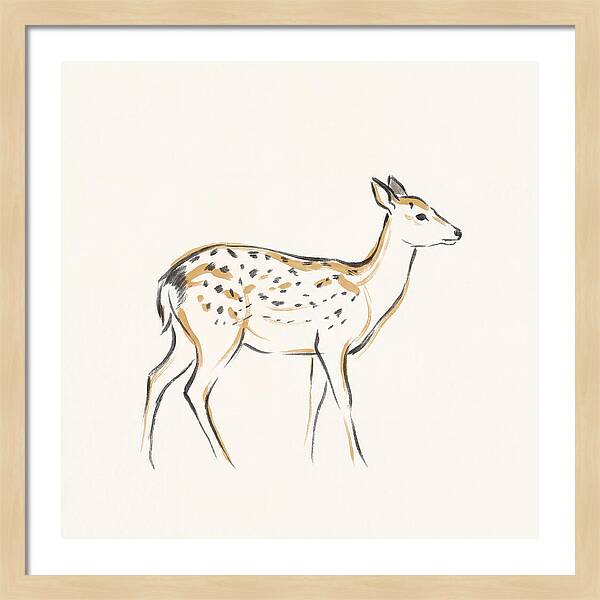 Sika Deer Elegance