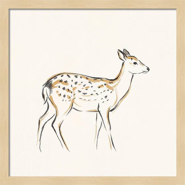 Sika Deer Elegance