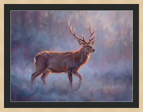 Sika Deer In Twilight
