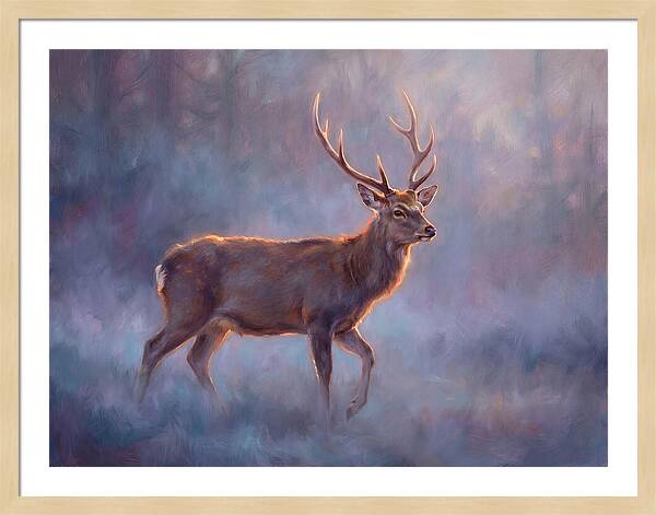 Sika Deer In Twilight