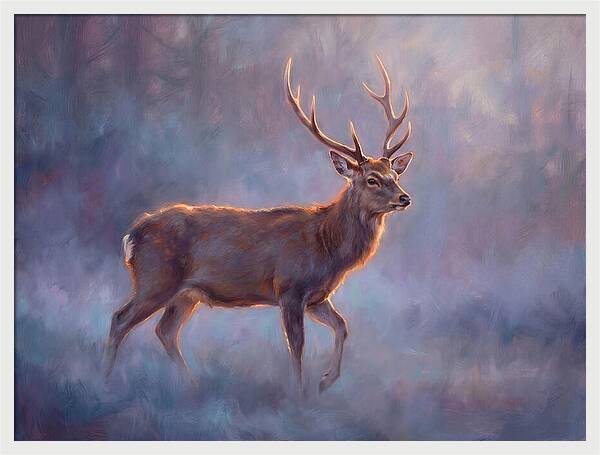 Sika Deer In Twilight