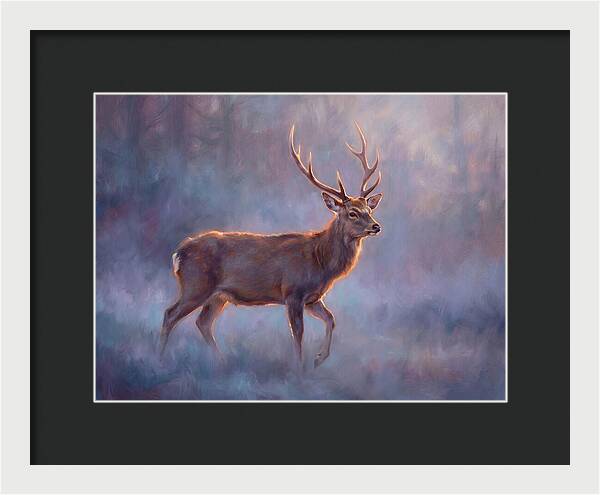 Sika Deer In Twilight