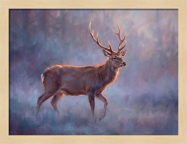 Sika Deer In Twilight