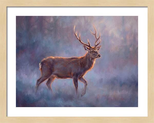 Sika Deer In Twilight