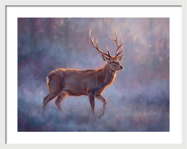 Sika Deer In Twilight