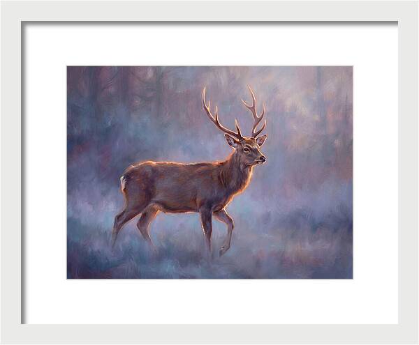 Sika Deer In Twilight