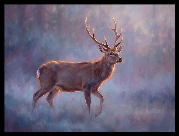 Sika Deer In Twilight