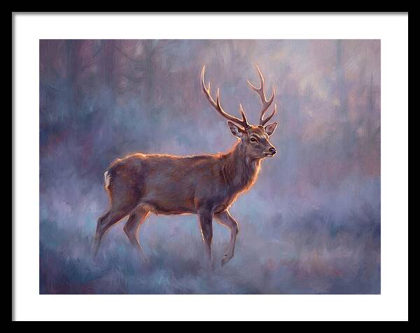 Sika Deer In Twilight