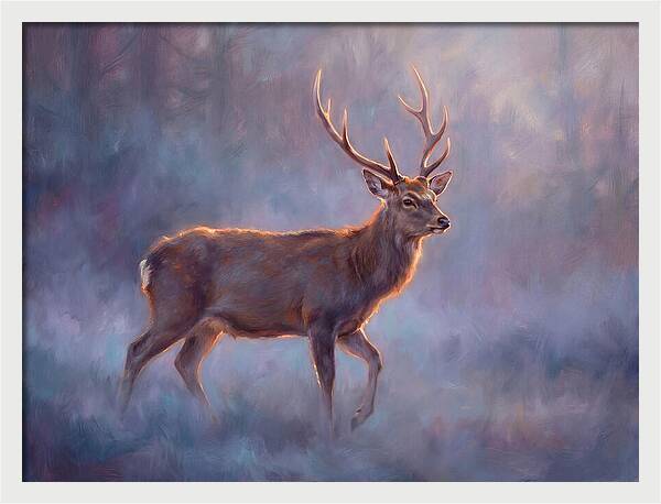 Sika Deer In Twilight