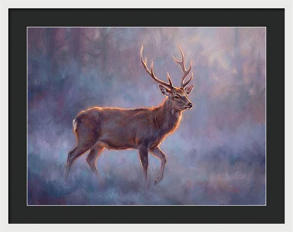 Sika Deer In Twilight