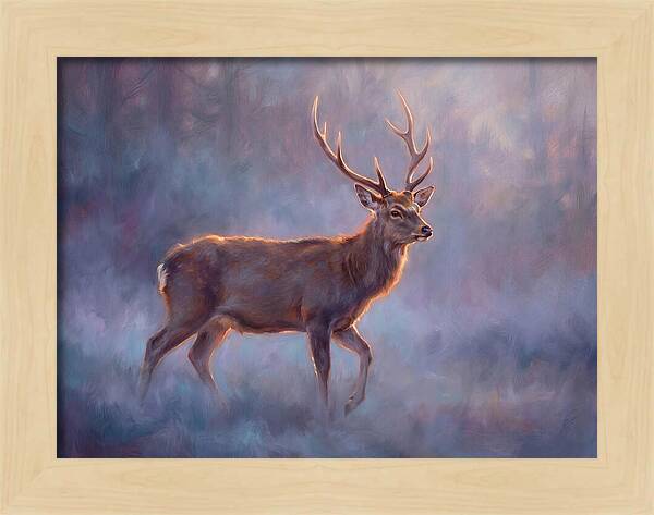 Sika Deer In Twilight