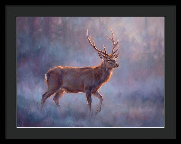Sika Deer In Twilight