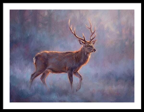 Sika Deer In Twilight