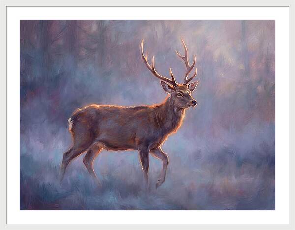 Sika Deer In Twilight