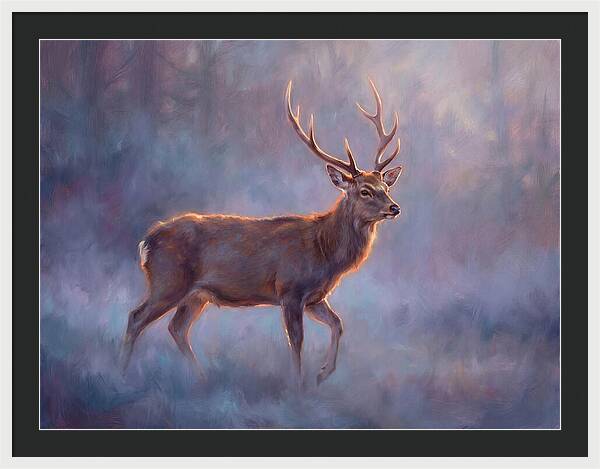 Sika Deer In Twilight