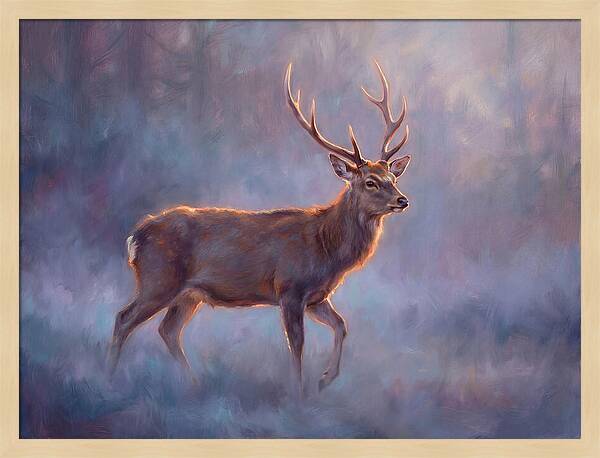 Sika Deer In Twilight