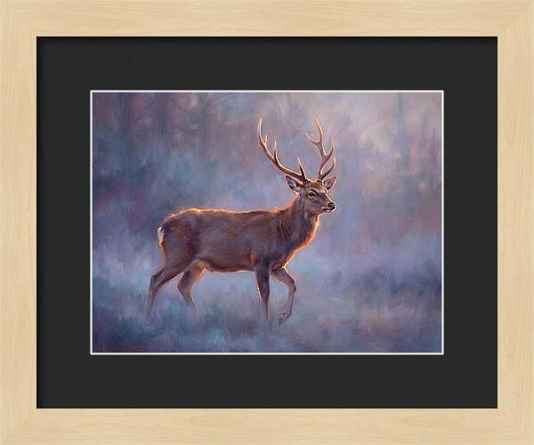 Sika Deer In Twilight