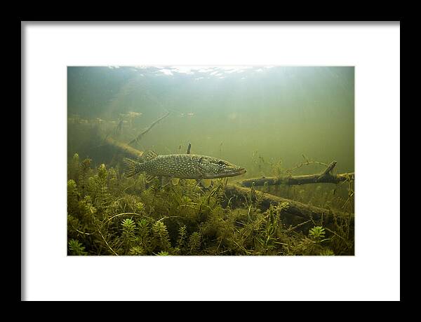 Silent Hunter Beneath The Surface
