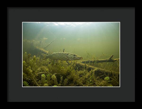 Silent Hunter Beneath The Surface