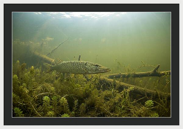 Silent Hunter Beneath The Surface