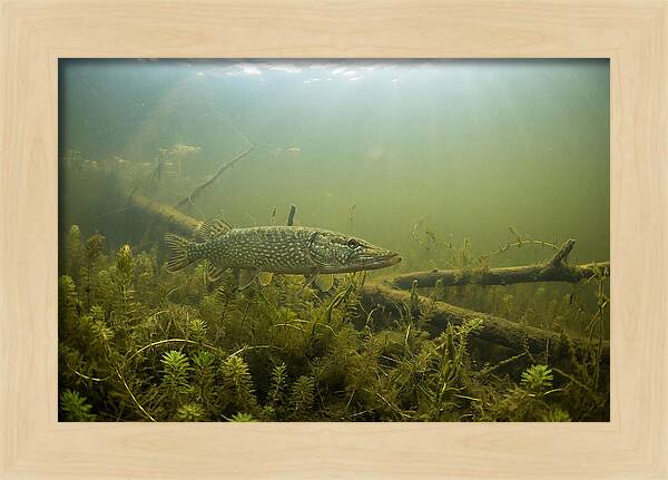 Silent Hunter Beneath The Surface